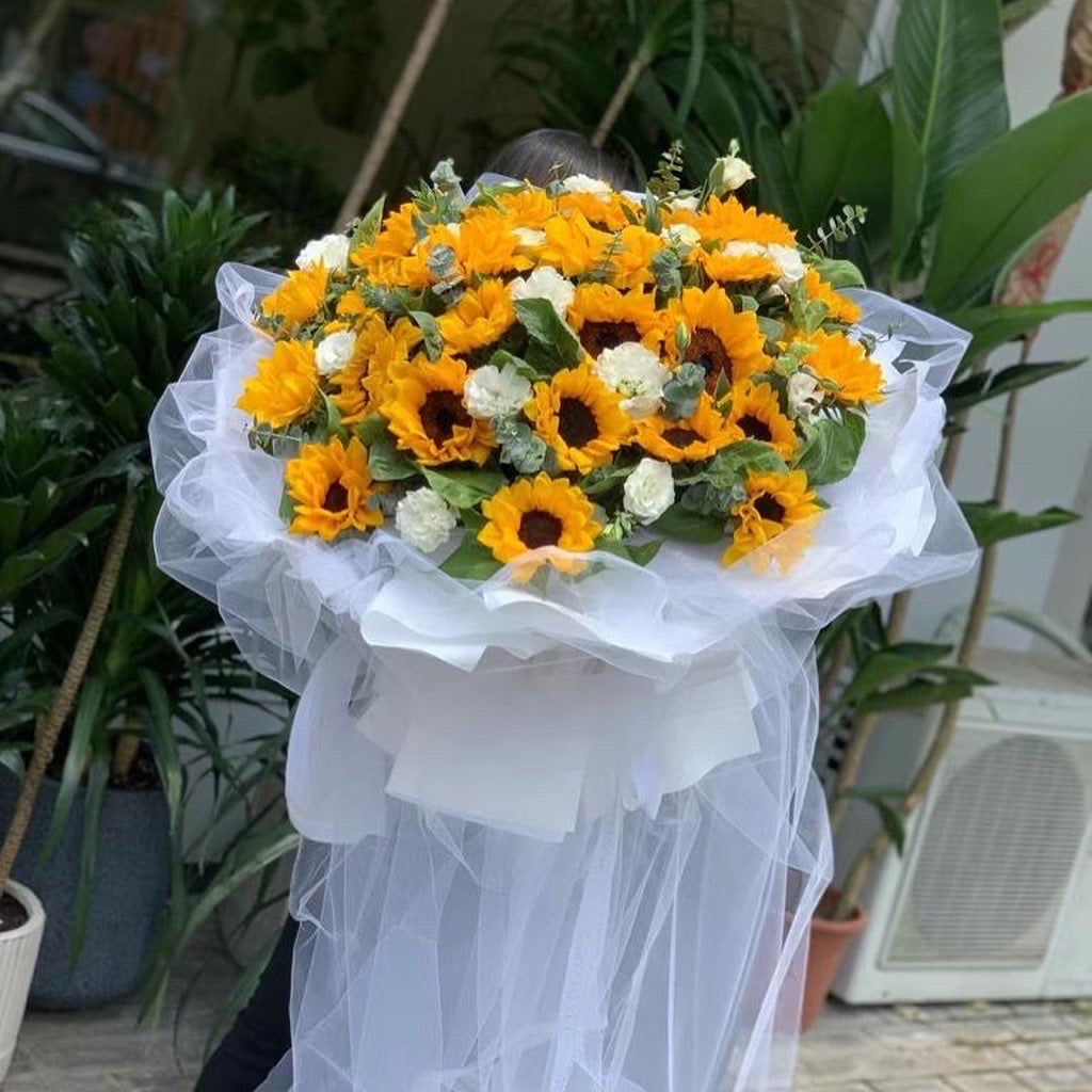 sun flower, 向日葵, 太陽花