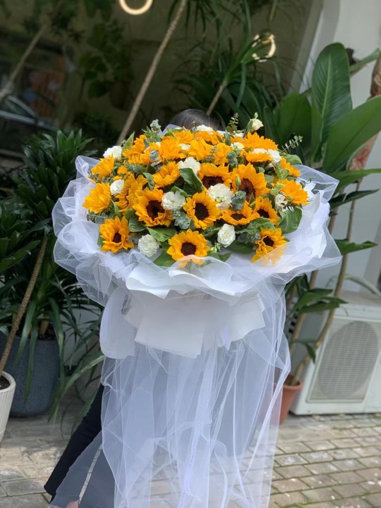 sun flower, 向日葵, 太陽花